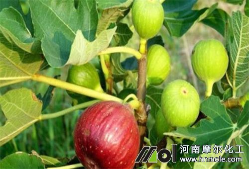 �o����ʩˮ�ܷ�