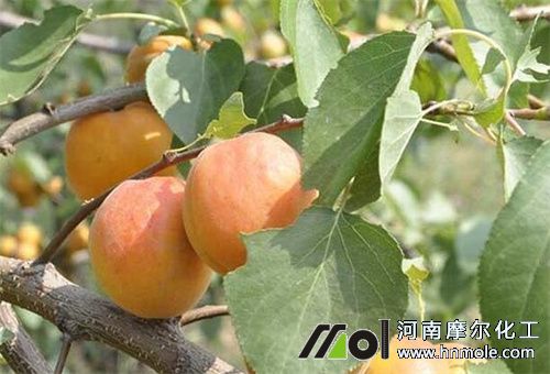 �Ә��Ӻ���ʩ��