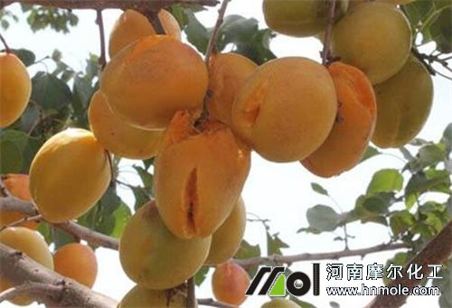 �Ә���������÷�