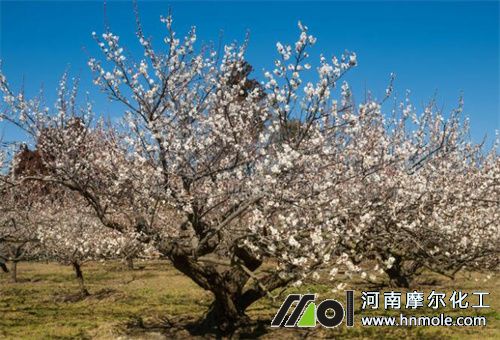 �Ә仨����ʩ��