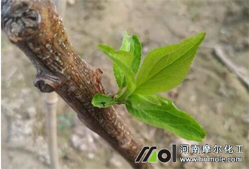 �Ә仨ǰ��ʩ��