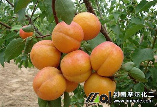 �Ә�ʩˮ�ܷ�