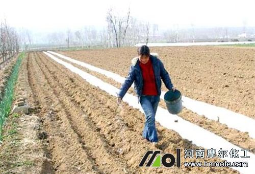 �o�C��ʹ��ע��