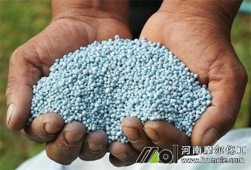 �����o�C�������