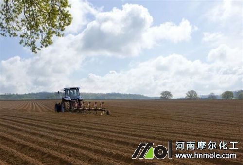 �����o�C������