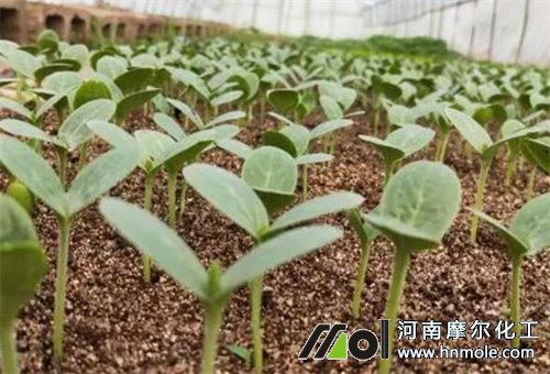 �M�������Ժ��÷�