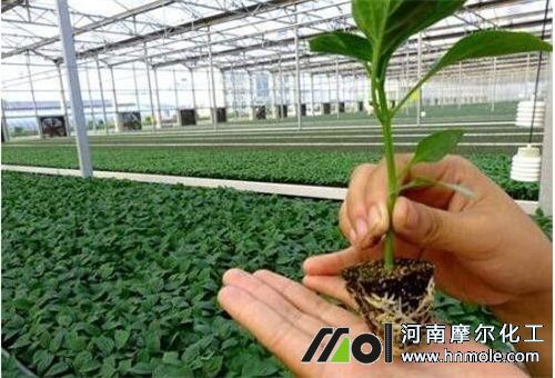 ����ˮ�ܷ����c