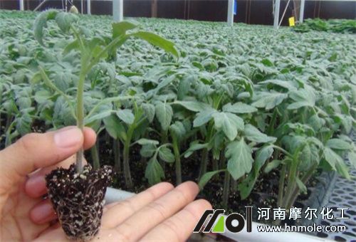 ����ˮ�ܷ����c