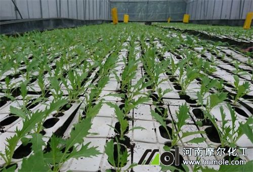 ˮ���Է���ʹ��ע��