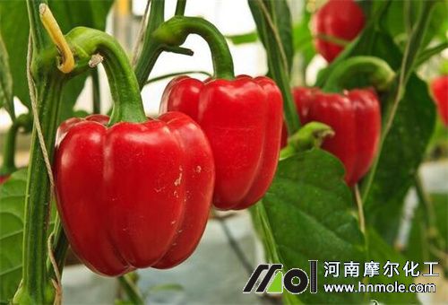 �Y����ʩˮ�ܷ�