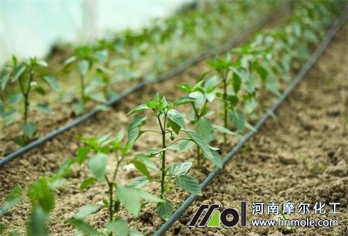 ����ʩˮ�ܷ�