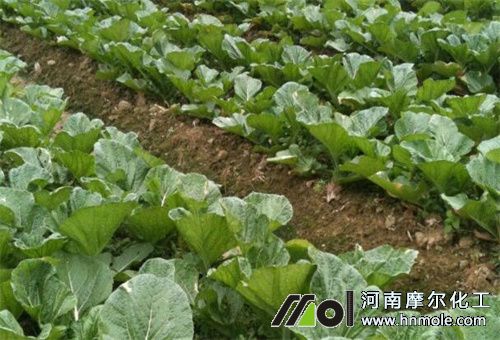 �˵؝�ʩˮ�ܷ�