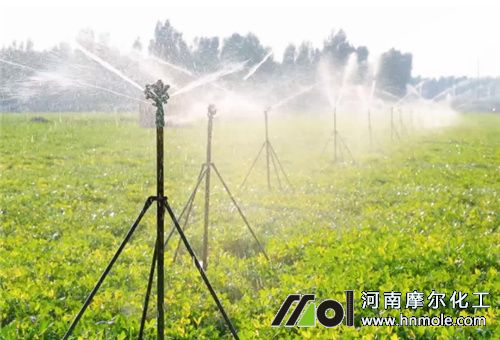 ��ˮ�ʺ�������������