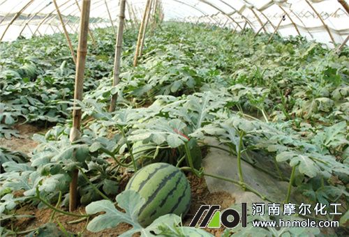 ����ˮ��ʹ�Õr�g