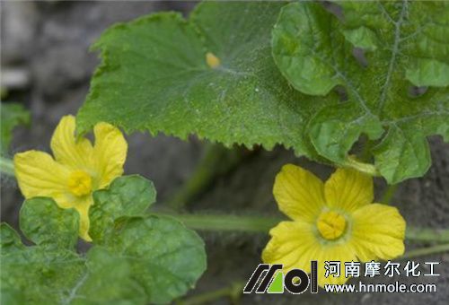 ���ϻ���ʹ��ˮ�ܷ�