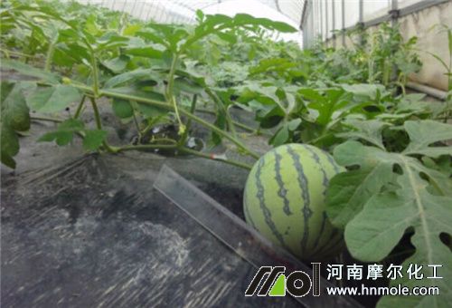 ���������ʹ��ˮ�ܷ�