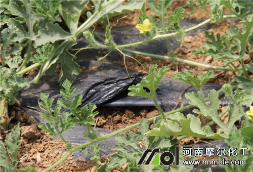 ����ˮ�ܷ�ʹ��Ҫ��