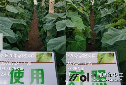 �õ�ˮ�ܷ��x�񅢿�