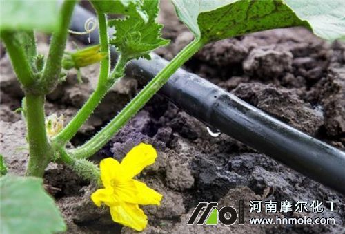 ˮ�ܷʵι��÷�