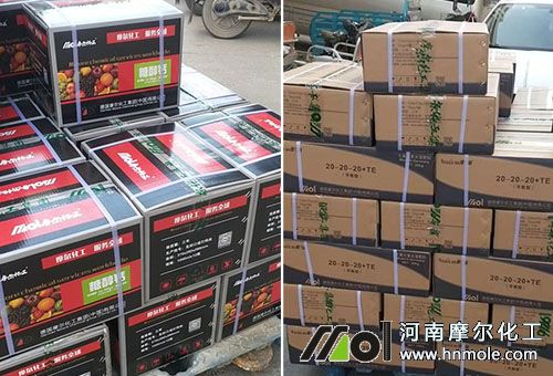 ���ϰl؛�F��1