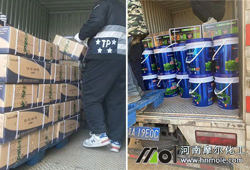 ���ϰl؛�F��2