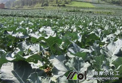 ���m��׷��ע��