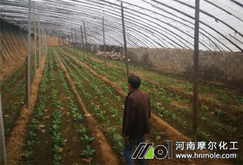 ���m���ι�ʩ��