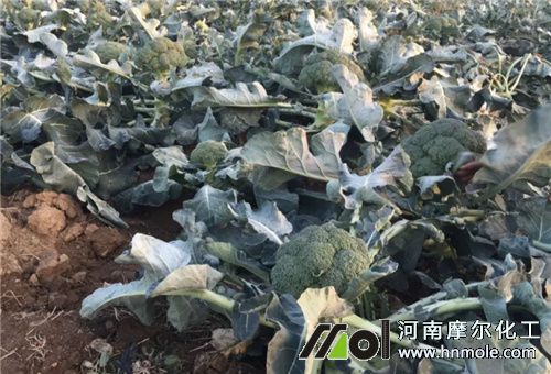 ���m��ʩ��