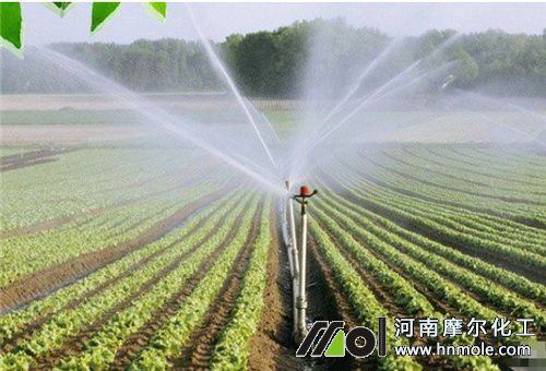 ˮ��һ�w������