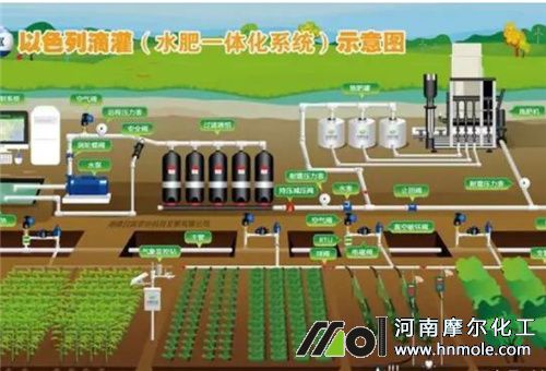 �ι��O��һ�w��