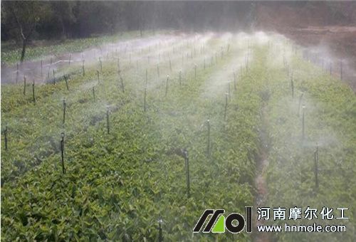 ˮ��һ�w������