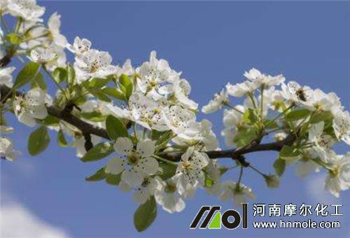 ������ˮ�ܷ�