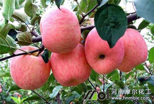 ����ǰ��ˮ�ܷ�