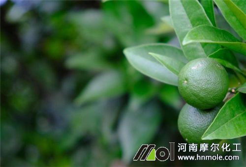 ��������ˮ�ܷ�