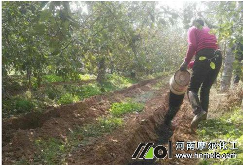 ��ժ����ˮ�ܷ�