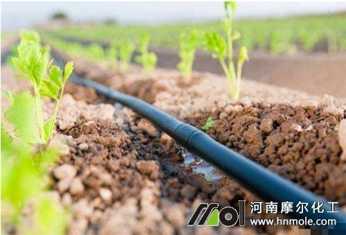 �ЙCˮ�ܷʵι�