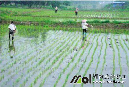 ˮ������ˮ�ܷ�����3