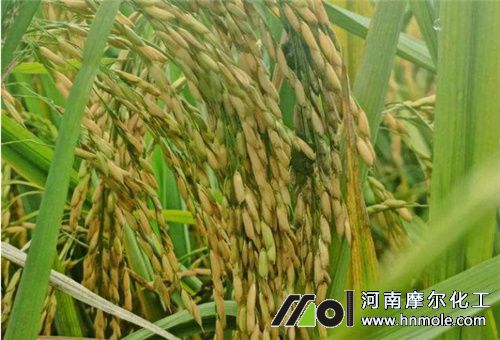 ˮ������ˮ�ܷ�����1