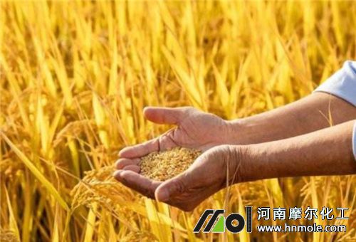 ˮ������ˮ�ܷ�����