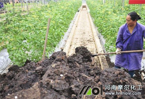 �����J׷��ע��