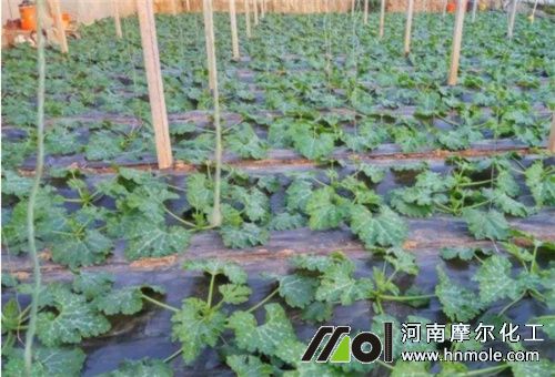 �����J׷��ע��