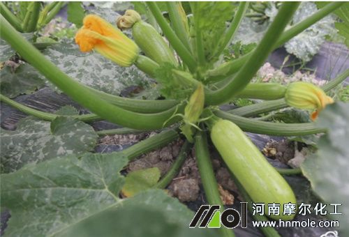 �����Jʩ�ʕr�g