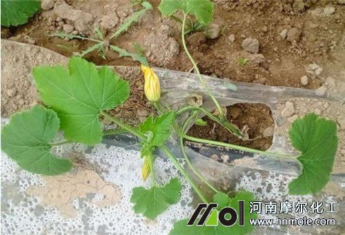 �����J����׷��