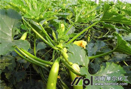 �����J�ٹϷ�