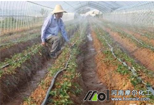 �˵�ˮ�ܷ������L��