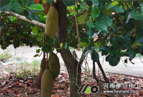 ���}�����ʩ�ʷ���