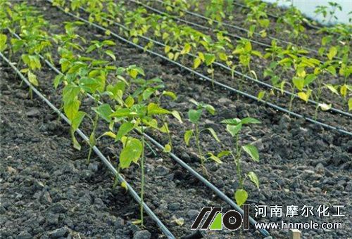 ˮ�ܷ�ʹ��ע��