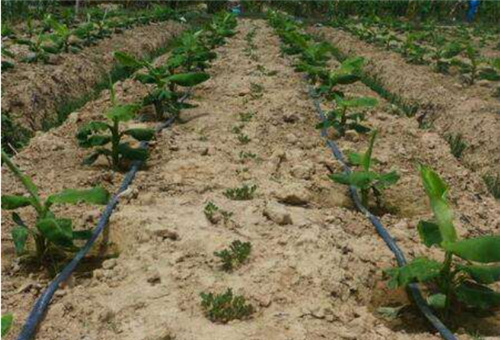 ˮ�ܷ�ʹ�÷�ʽ