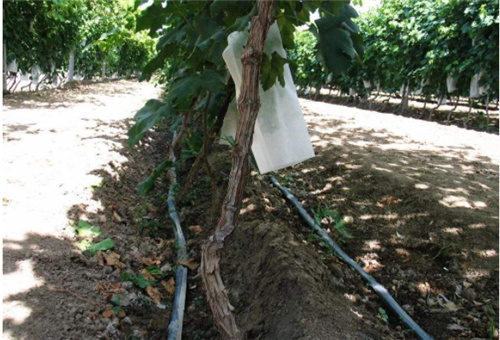 ˮ�ܷʮ�����