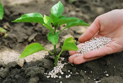 ˮ�ܷ��ö����}